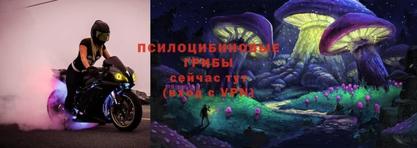 PSILOCYBIN Заводоуковск