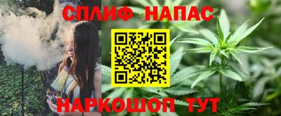 сатива Гай