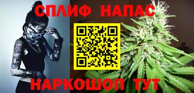 тгк Гатчина