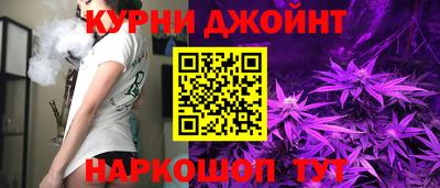 сатива Гай