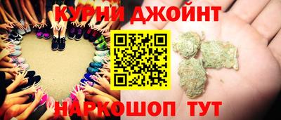 сатива Гай