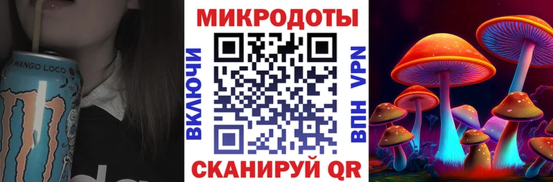 закладка  Пыть-Ях  Галлюциногенные грибы GOLDEN TEACHER 