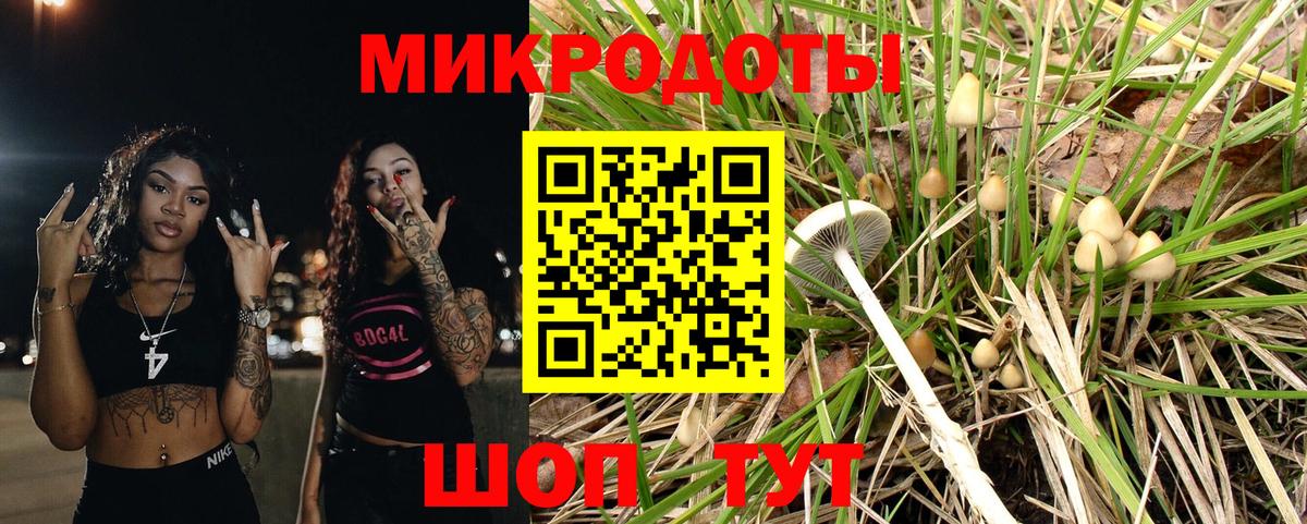 Галлюциногенные грибы мицелий  Вход с VPN  Галлюциногенные грибы Psilocybe  Пыть-Ях 